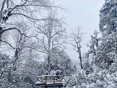 -龙苍沟森林公园