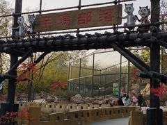 -辛玛王国游乐园