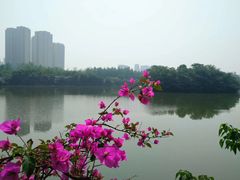 -三圣花乡旅游区