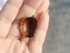 -秋栗香(地安门店)