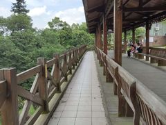 -广州市帽峰山景区