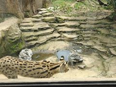 -杭州野生动物世界