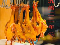 -鸽子侯·家宴·平价海鲜(市图书馆店)