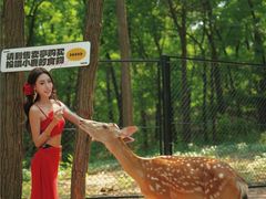 -南戴河国际娱乐中心