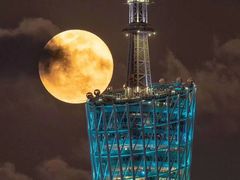 -佛山希尔顿酒店·融誉亚洲美食荟