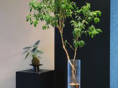 -奈雪茶院·茶室茶馆(广州粤海天地店)