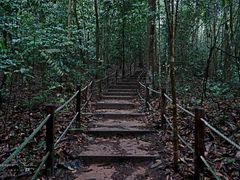 -武吉知马自然保护区