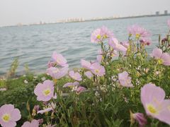 -阳澄湖半岛旅游度假区