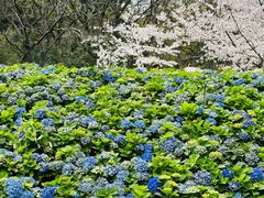 -苏州上方山国家森林公园