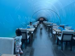 -涛·海底餐厅·美人鱼·自助餐·海底隧道(三亚海棠湾洲际度假酒店)