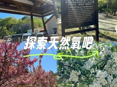 -金龙寺国家森林公园