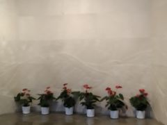 -上海大陆银行仓库旧址