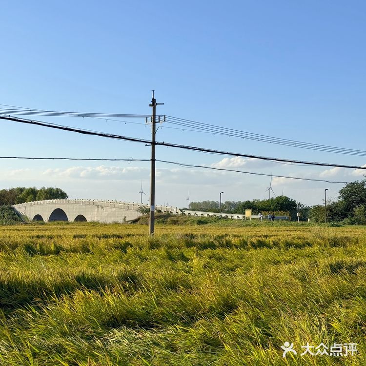 秋天🍂…肯定要来一趟莲花岛吧！