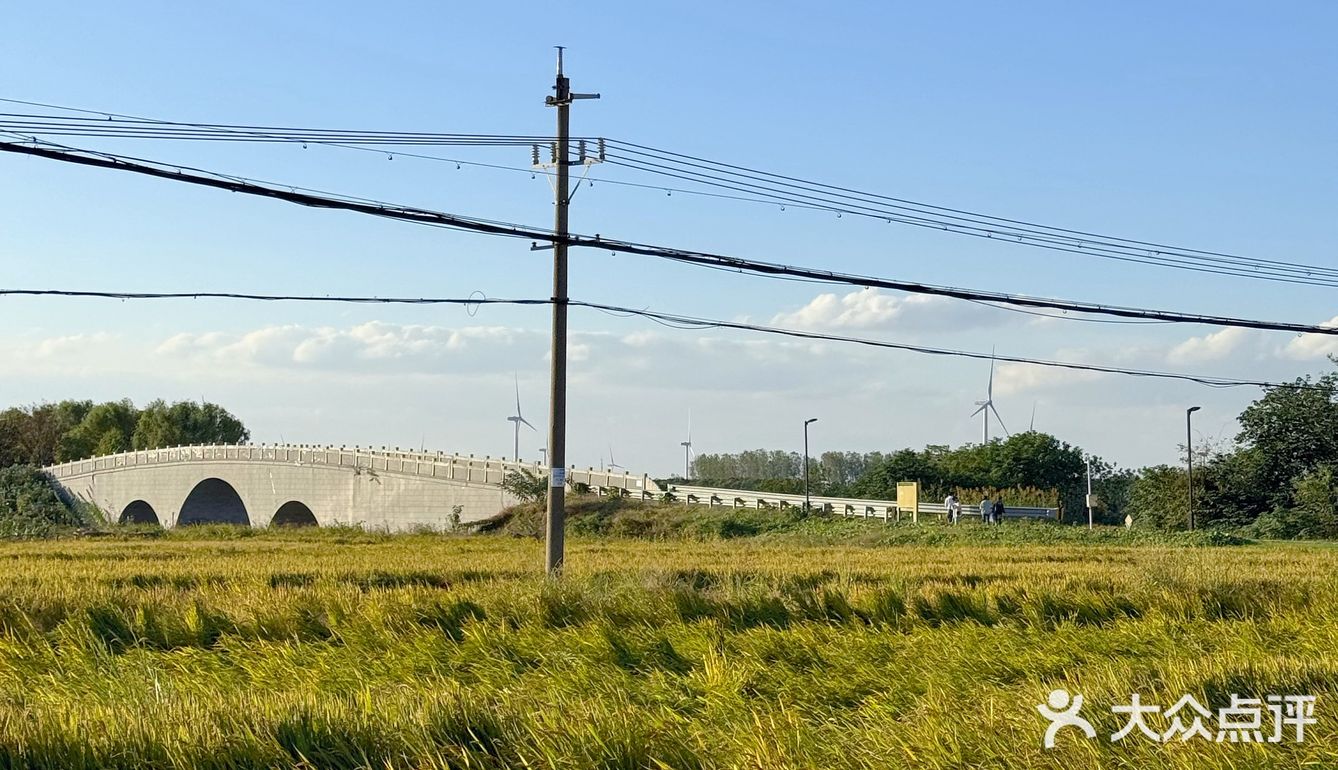 秋天🍂…肯定要来一趟莲花岛吧！