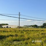 秋天🍂…肯定要来一趟莲花岛吧！