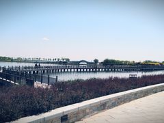 -天津东丽湖风景区