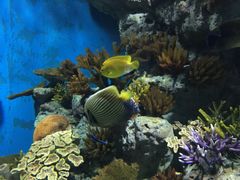 -福州罗源湾海洋世界旅游区