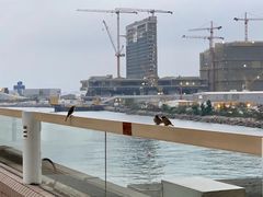 -香港皇家太平洋酒店