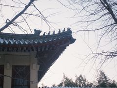 -中国农业博物馆