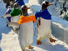 -波塞冬旅游度假区