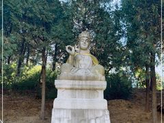 -北京十三陵国家森林公园蟒山景区