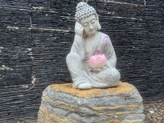 -东海森林温泉度假酒店