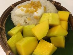 -GOGO Plate(成都太古里店)