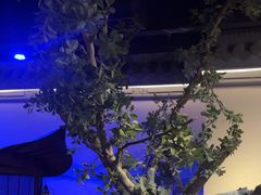 -绿茶餐厅(燕郊永旺店)