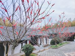 -求雨山文化公园