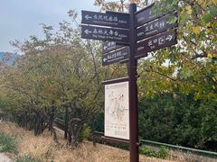 -北京西山国家森林公园