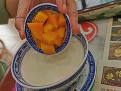 招牌姜撞奶-捷信牛奶甜品世家(柳巷店)