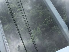 -呀诺达热带雨林