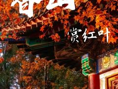 -香山公园