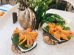 赤贝-渔文乐·海鲜大排档(壹品总店)