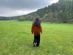 -武陵山森林公园