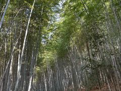 -苏州环秀晓筑养生度假村