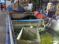 -区海鸡场饭店(石壁店)