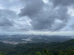 -阳台山森林公园