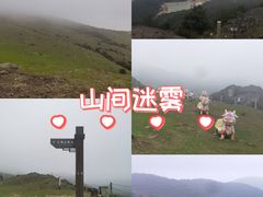 -大姆山草场