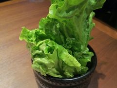 -快乐小羊火锅(河西王府井店)