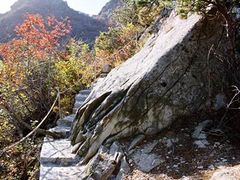 -狼牙山风景区
