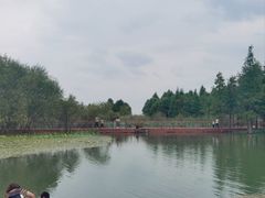 -贡湖湾湿地公园