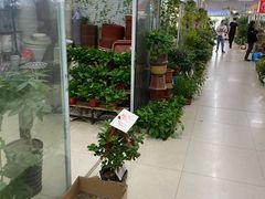 -无锡文化工艺品市场(槐古路店)