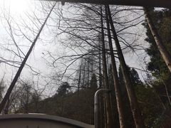 -千岛湖龙川湾