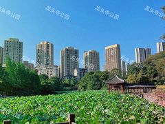 -龙头寺公园