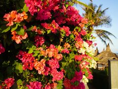 -美奈海崖度假酒店