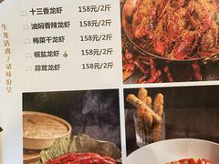 -MR鹅外