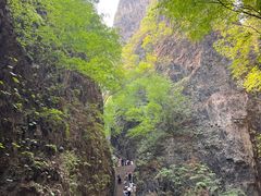 -野三坡百里峡景区