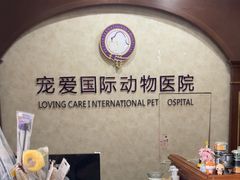 -宠爱国际动物医院· 猫科· 外科·中兽医(长白店)