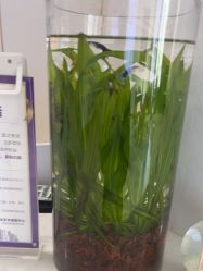 -南京美莱医疗美容·旗舰店